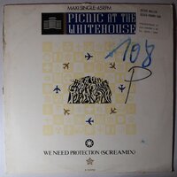 Picnic At The Whitehouse  - We Need Protection - 12"