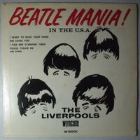 Liverpools, The - Beatle mania! - LP