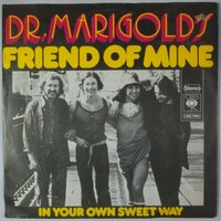Dr. Marigold's  - Friend of mine - Single