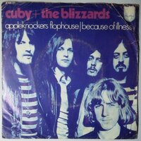 Cuby + Blizzards - Appleknockers Flophouse / Because Of Illness - Single