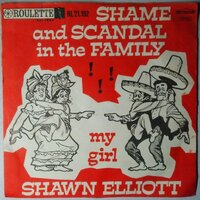 Shawn Elliott - Shame And Scandal In The Family - Single