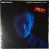 Jim Diamond - I should have known better - Single