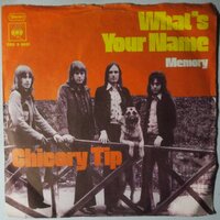 Chicory Tip - What's your name - Single