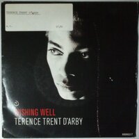 Terence Trent D'Arby - Wishing well - Single