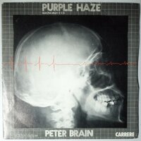 Peter Brain & Brain Trick - Purple Haze - Single