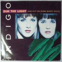 Indigo - Dim The Light And Put On Some Barry White - Single