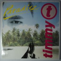 Timmy T - Paradise - 12"
