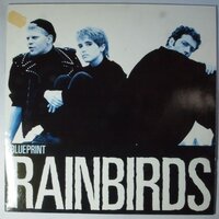 Rainbirds - Blueprint - 12"