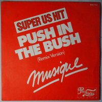 Musique - In The Bush (Remix Version) - Single