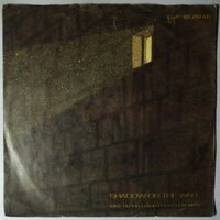 Mike Oldfield and Roger Chapman - Shadow on the wall - Single