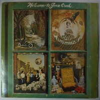 Goos Creek Symphony - Welcome to goos creek - LP