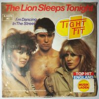 Tight Fit - The lion sleeps tonight - Single