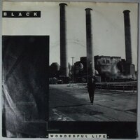 Black - Wonderful life - Single