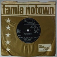 Smokey Robinson and The Miracles - The Love I Saw In You Was Just A Mirage - Single