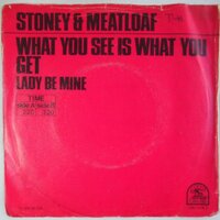 Stoney & Meatloaf - What you see is what you get - Single