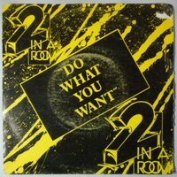 2 In A Room - Do What You Want - Single