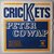 Peter Cowap - Crickets - Single Peter Cowap - Crickets - Single
