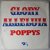 Poppys - Glory Alleluia - Single Poppys - Glory Alleluia - Single