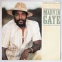 Marvin Gaye - Sanctified lady - Single