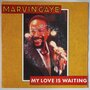 Marvin Gaye - My love is waiting - Single