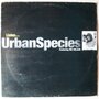 Urban Species featuring Mc Solaar - Listen - 12"