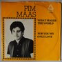 Pim Maas - What makes the world - Single