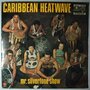 Mr. Silvertone Show - Caribbean heatwave - LP