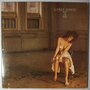 Carly Simon - Boys In The Trees - LP