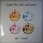 Toad The Wet Sprocket - All I want - 12"