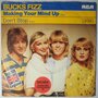 Bucks Fizz - Making your mind up - Single