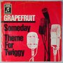 Grapefruit - Someday / Theme For Twiggy - Single