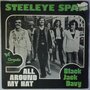 Steeleye Span - All Around My Hat - Single