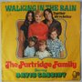 Partridge Family, The - Walking in the rain - Single Partridge Family, The - Walking in the rain - Single
