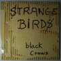 Black Crows - Strange Birds - 12"